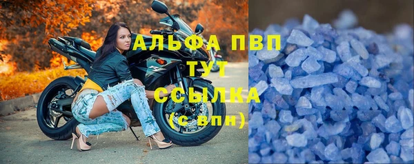 шишки Верхний Тагил